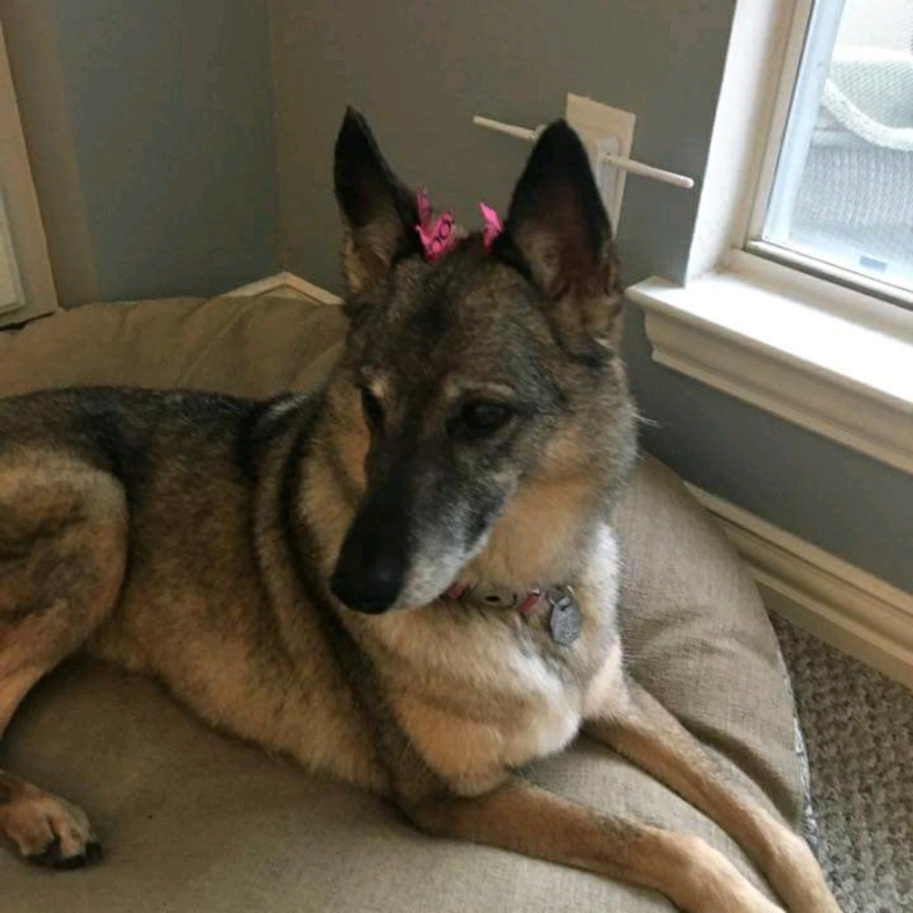 Meet your Posher, Gina